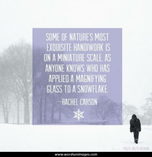 Famous marine quotes