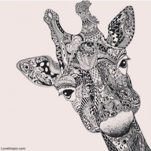 Giraffe Drawing Tumblr