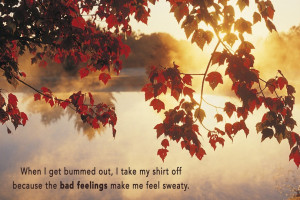 If Andy Dwyer Quotes Were Motivational Posters