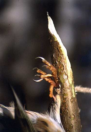 Found on Uploaded by user