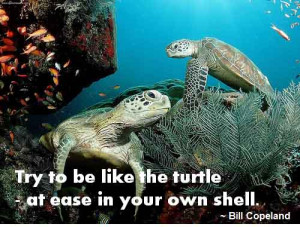 Try Like The Turtle Ease