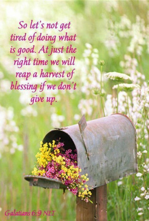 Harvest Of Blessings