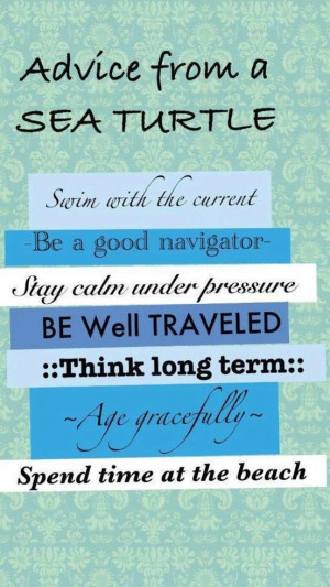 Sea turtle advice-nice sentiments for our sea turtle cards