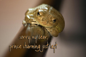 Prince Charming Photograph by Carolyn Marshall - Not Prince Charming ...