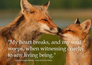 Cruelty to animals - quote: A Kiss, Mothers, Animal Photography ...