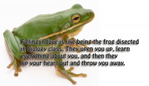 You Frog Quote Facebook Covers Timeline Cover Fb Picture