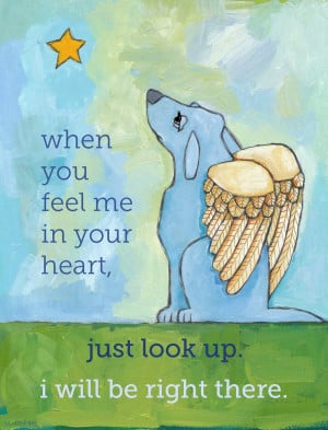 Displaying 18> Images For - Dog Loss Quotes...