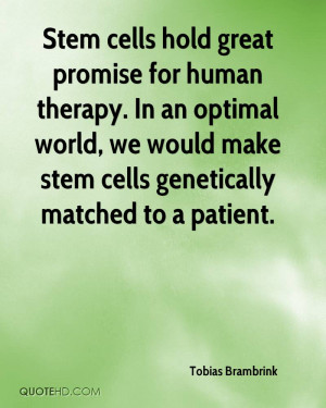 Stem cells hold great promise for human therapy. In an optimal world ...