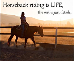 english riding quotes horse riding quotes we heart it more