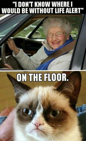 ... Old People Memes | Funny Cats | Top 49 Most Funniest Grumpy Cat Quotes