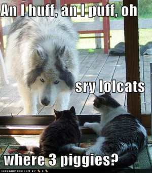 big bad wolf and lol cats