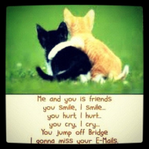 cats #cute #quote #funny (Taken with instagram )