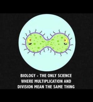 cell multiplication = cell division :)