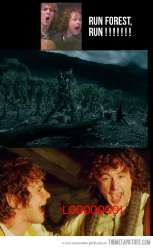 Funny photos funny Merry Pippin Lord Of The Rings