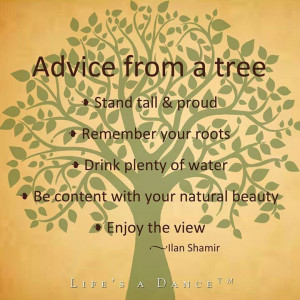 Advice from a tree