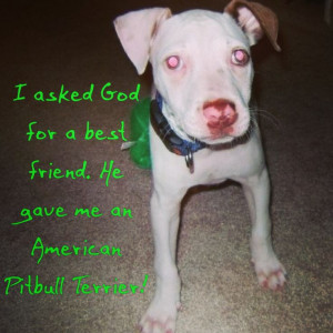 Pinned by Danyelle Morrissey