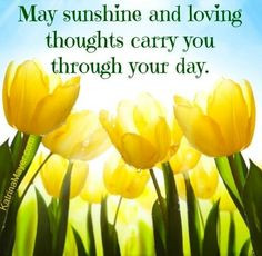 ... Quotes, Flowers, Lights Shinee Sun Stars Quotes, Aspire Inspiration