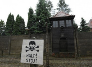 HD Concentration Camp KZ Auschwitz Poland 1945 Stock Video
