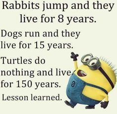 ... live for 15 years Turtles do nothing & live 150 years, lesson learned
