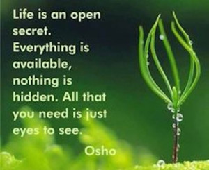 life is an open secret osho picture quote