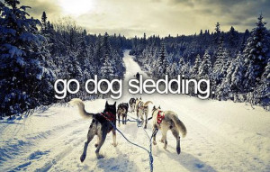 Go Dog Sledding / Bucket List Ideas / Before I Die More