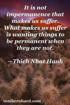 It is not impermanence that makes us suffer... - Thich Nhat Hanh More