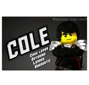 Cole ( Ninjago ) i REALLY DID MEAN TO PUT THIS IN MY KAI PINS (SORRY)