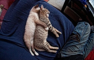 Cute Couple Sleeping With A Very Comfortable Position