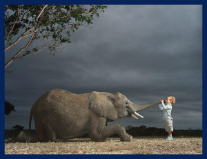 saw a picture of an elephant and it instantly appeared, that would be ...