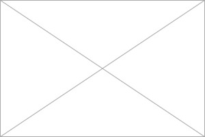 The Duke of Edinburgh speaks with Royal Marines of 40 Commando at ...