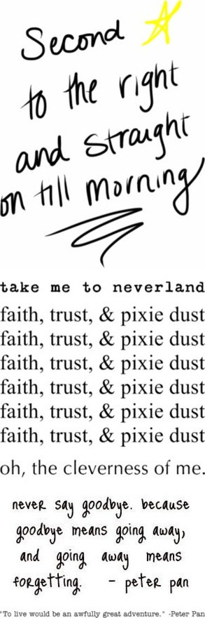 don't care how immature I am. Peter Pan is freakin' awesome!