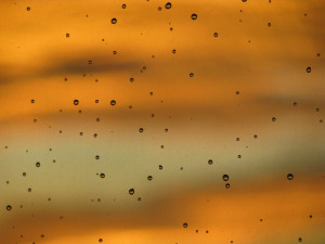 Become Nation Takers Not Makers