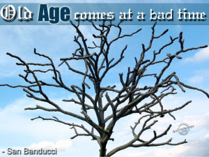 Age Quote ~ Old age Comes at a bad Time