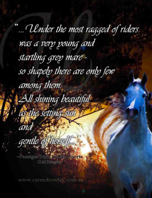 Arabian Horse Sayings Quotes