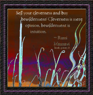 and buy bewilderment; Cleverness is mere opinion, bewilderment ...