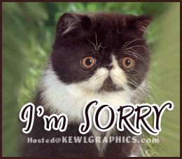 am sorry cute sad kitten Facebook Graphic