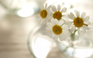 SOLUNUM:Üst solunum yolu iltihaplarında ve nefes darlığında ...