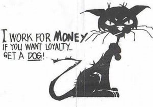funny-friday-cat-picture-funny-cat-i-work-for-money-if-you-want ...