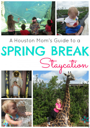 Houston Mom’s Guide to a Spring Break Staycation