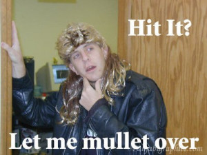 Let Me Mullet Over…