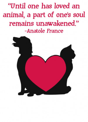 Quotes about animals by Anatole France