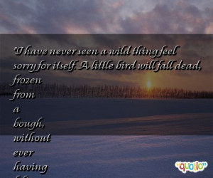 ... dead, frozen from a bough, without ever having felt sorry for itself