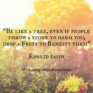 Tree wisdom