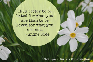 Quote of the Week // Once Upon a Time in a Bed of Wildflowers