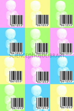 cloning scientists 3 different methods of animal cloning human cloning ...