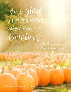 Pumpkins Orange Autumn Fall Colors October Whimsical Quote Fall Autumn ...