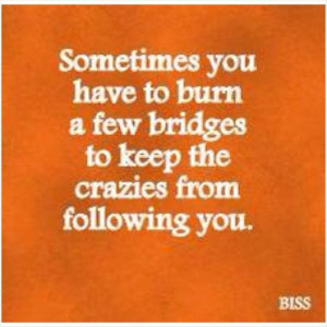 ... burn-a-few-bridges-to-keep-the-crazies-from-following-you-funny-quote
