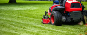 lawn mowing hobart 1300 702 353 free quotes our lawn