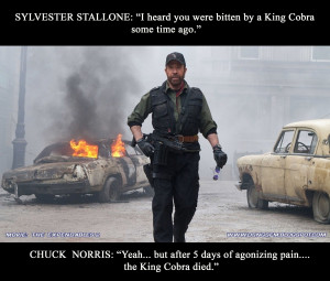 Image search: Chuck Norris Jokes Top 100