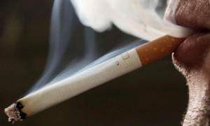 The smoking ban after half a decade: has it met your expectations ...